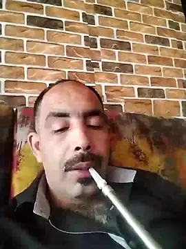 salimbasha online show from May 17, 2026, 8:55 am