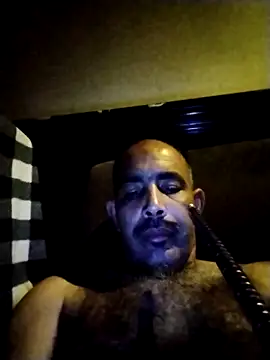 salimbasha online show from June 2, 2026, 2:35 am