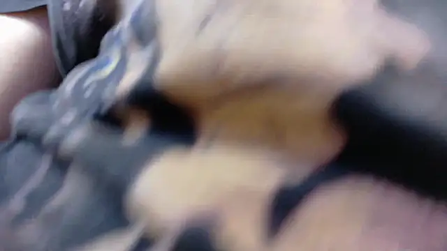 Witch Scarlet online show from March 25, 2026, 1:00 am