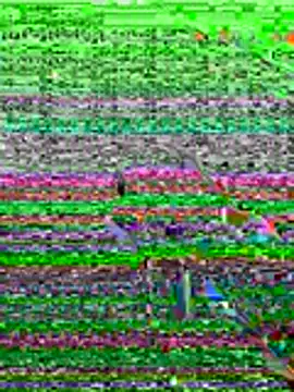 kamo012000 online show from June 19, 2026, 10:08 am