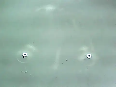 20cmloiro online show from January 15, 2026, 12:59 am