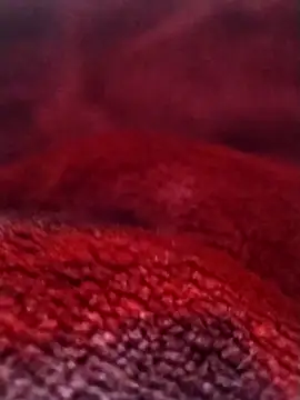 Snapshot of saneer69tew chatting on February 26, 2026, 6:12 am saneer69tew online show from February 26, 2026, 6:12 am