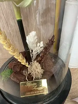 Snapshot of Mrdim26 chatting on October 11, 2025, 12:58 pm Mrdim26 online show from October 11, 2025, 12:58 pm