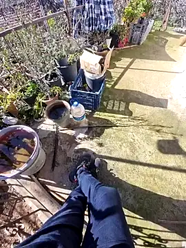 Mahmut4848 online show from February 19, 2026, 8:21 am