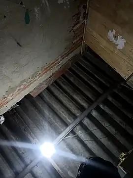 BowedFreudian online show from September 28, 2025, 12:49 am