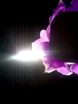 Snapshot of Ridick2025 chatting on October 8, 2025, 11:13 pm Ridick2025 online show from October 8, 2025, 11:13 pm