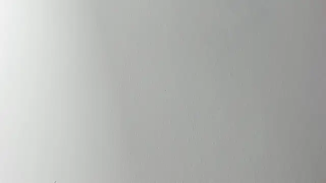 Lady miss    online show from November 6, 2025, 12:17 pm