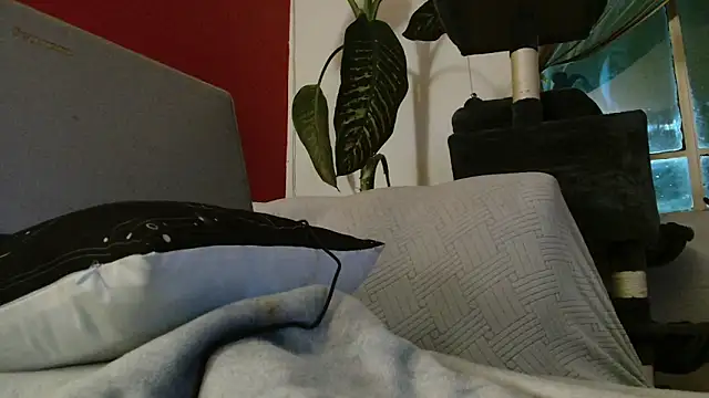 Tulindabonny online show from March 6, 2026, 5:04 am