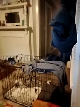 hugenicecock7979 online show from October 2, 2025, 11:34 pm