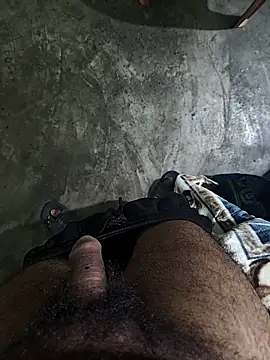 RitkKaala online show from January 31, 2026, 8:51 pm