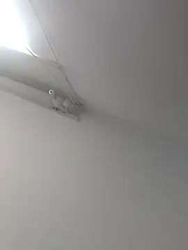 Tattoboy19cm online show from October 19, 2025, 8:09 pm