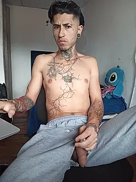 Tattoboy19cm online show from April 15, 2026, 5:20 pm