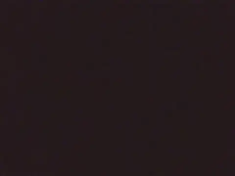 Snapshot of Laurenflex chatting on October 3, 2025, 2:03 pm Laurenflex online show from October 3, 2025, 2:03 pm