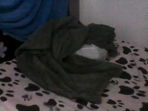 jade tall online show from October 19, 2025, 12:17 pm