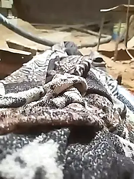 ParousFlow online show from October 11, 2025, 11:03 pm