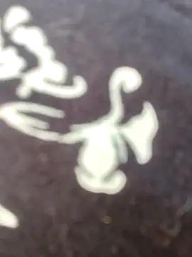 papukurty online show from February 22, 2026, 12:15 pm