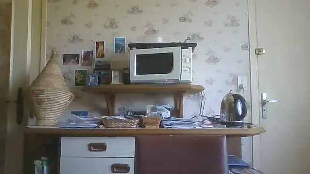 gegevincent online show from June 14, 2026, 10:28 am