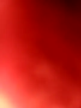 StintedRegiment online show from October 6, 2025, 7:28 am