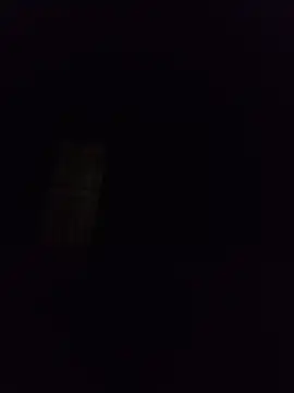 Snapshot of silvaa89 chatting on December 2, 2025, 1:00 am silvaa89 online show from December 2, 2025, 1:00 am