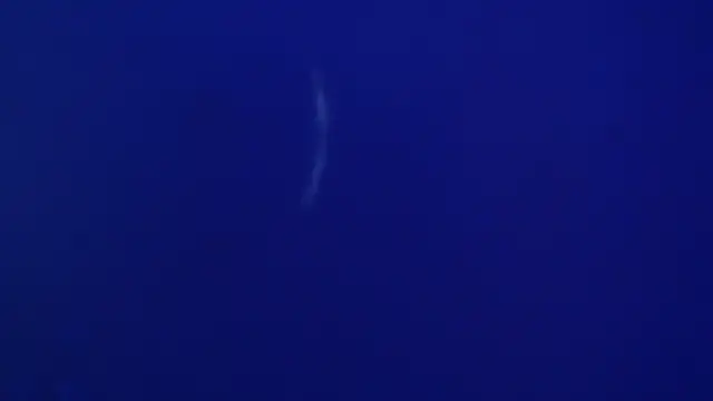 The1BBC online show from February 12, 2026, 4:13 pm