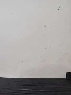 Telugu person12 online show from February 28, 2026, 5:08 am