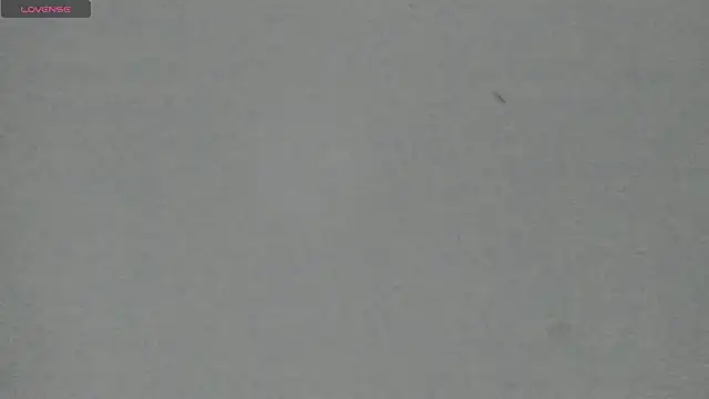 Snapshot of Sophia_Ebony chatting on May 5, 2026, 12:13 pm Sophia Ebony online show from May 5, 2026, 12:13 pm