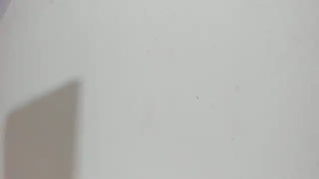 Snapshot of Sophia_Ebony chatting on May 15, 2026, 12:12 pm Sophia Ebony online show from May 15, 2026, 12:12 pm