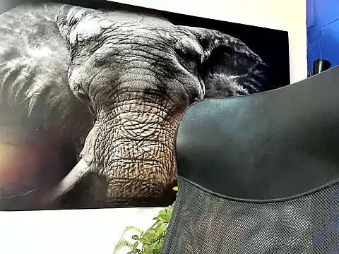 Snapshot of king_falconer chatting on November 24, 2025, 1:38 am king falconer online show from November 24, 2025, 1:38 am