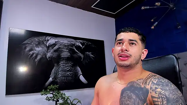 Snapshot of king_falconer chatting on January 6, 2026, 3:54 am king falconer online show from January 6, 2026, 3:54 am