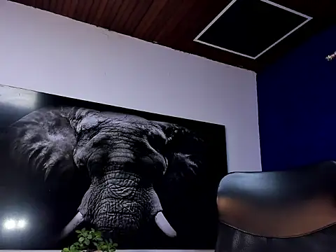 Snapshot of king_falconer chatting on January 15, 2026, 2:16 am king falconer online show from January 15, 2026, 2:16 am