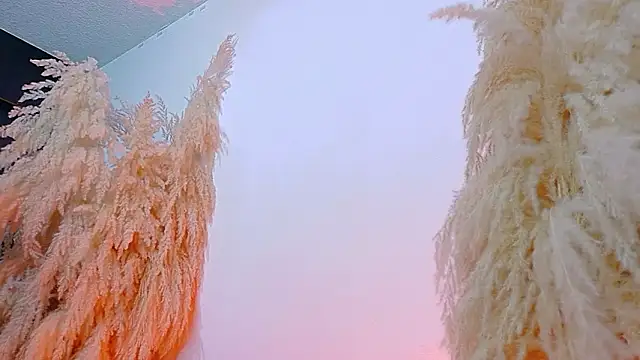 Snapshot of JulietaDavis chatting on February 19, 2026, 8:10 am JulietaDavis online show from February 19, 2026, 8:10 am