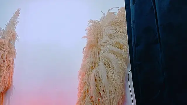 Snapshot of JulietaDavis chatting on February 22, 2026, 9:41 am JulietaDavis online show from February 22, 2026, 9:41 am