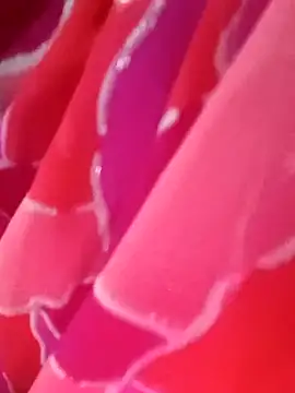 Snapshot of kittu0987 chatting on February 9, 2026, 5:00 am kittu0987 online show from February 9, 2026, 5:00 am