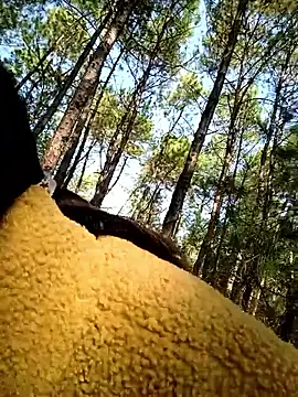 chengcheng12 online show from November 25, 2025, 1:38 am