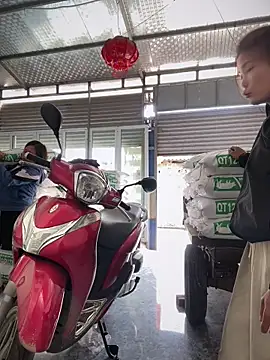 Maily NC online show from March 11, 2026, 4:29 am