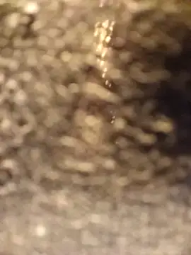 Snapshot of Venessa chatting on December 5, 2025, 1:14 am Venessa online show from December 5, 2025, 1:14 am