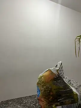 megan bigboobs  online show from September 14, 2025, 7:24 pm