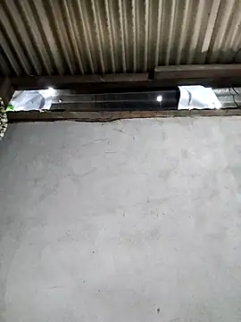 Baby-sexyass96 online show from February 26, 2026, 1:59 am