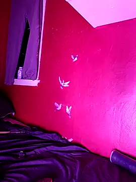 Cnutt310 online show from October 25, 2025, 8:55 am