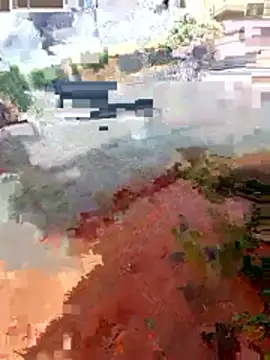 jeff pepoer online show from January 7, 2026, 3:36 pm