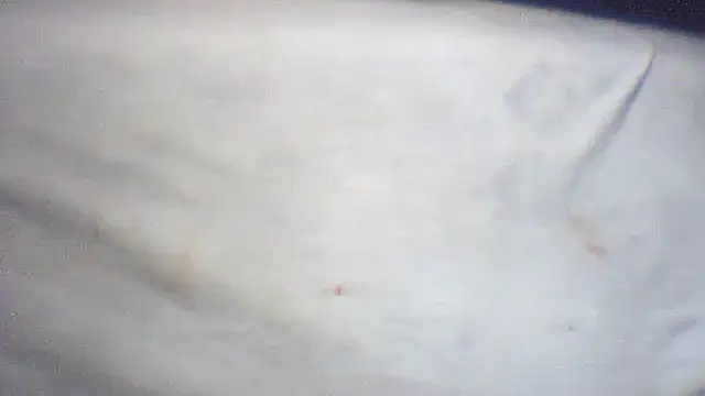 pietje1991 online show from February 25, 2026, 1:43 pm