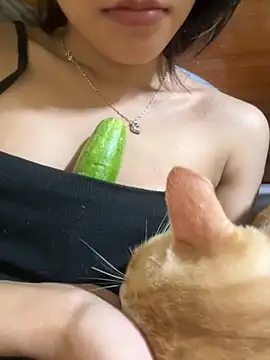 Sayhi xo online show from December 1, 2025, 3:17 pm