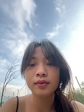 Phayphay77 online show from November 6, 2025, 12:00 am