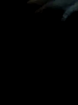 pollitaloca123 online show from November 7, 2025, 9:04 pm