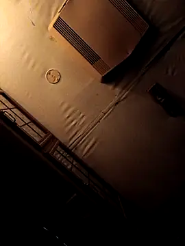 Snapshot of ShawnandDani7074 chatting on February 4, 2026, 5:46 am ShawnandDani7074 online show from February 4, 2026, 5:46 am