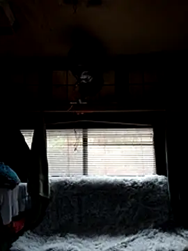 Snapshot of ShawnandDani7074 chatting on February 22, 2026, 1:53 pm ShawnandDani7074 online show from February 22, 2026, 1:53 pm