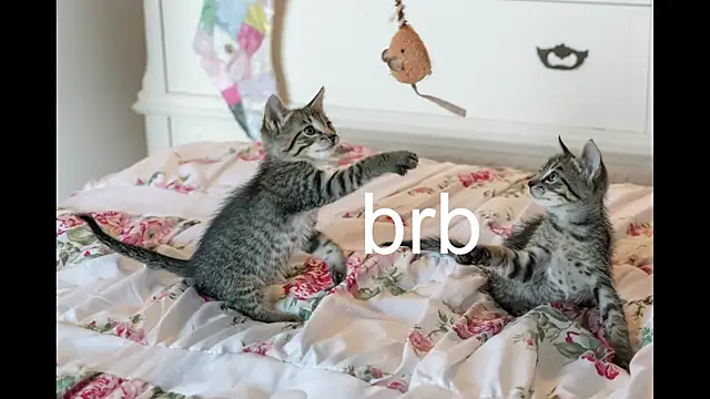 Snapshot of Pink_girl0n chatting on September 27, 2025, 4:12 pm Pink girl0n online show from September 27, 2025, 4:12 pm