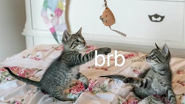 Snapshot of Pink_girl0n chatting on November 17, 2025, 7:08 pm Pink girl0n online show from November 17, 2025, 7:08 pm