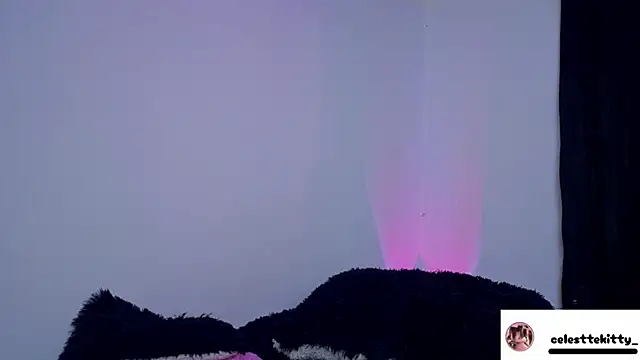 celestte evans 1 online show from March 6, 2026, 4:20 am