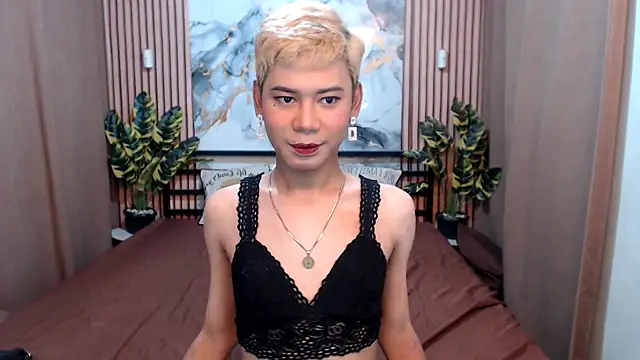 MissTransStella69 online show from August 5, 2026, 5:54 am